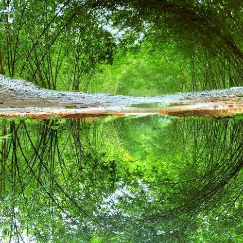 Reflection