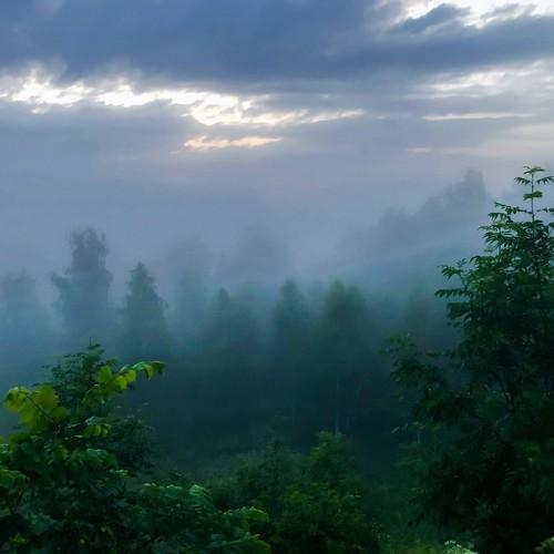 Photo #3855216