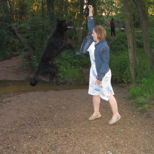 Photo #3856015
