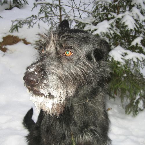 Photo #3856031
