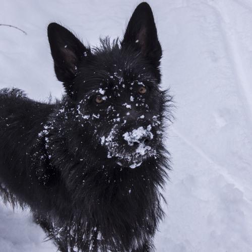 Photo #3856054