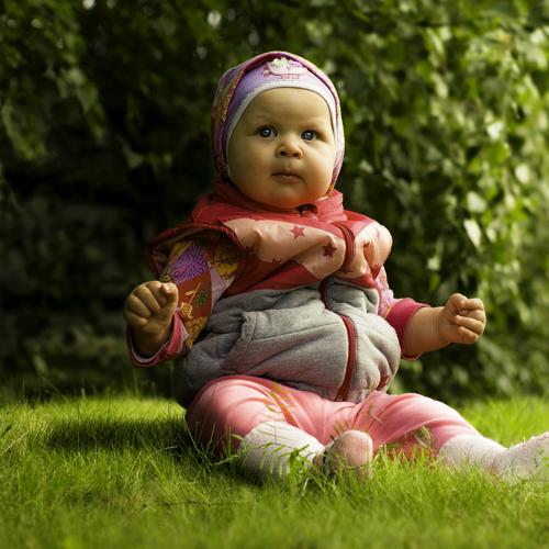 Photo #3856409