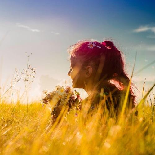 Photo #3856510
