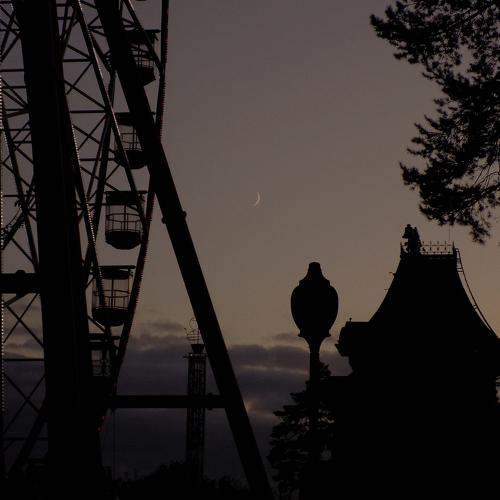 Photo #3856790