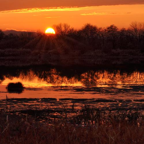 Photo #3856885