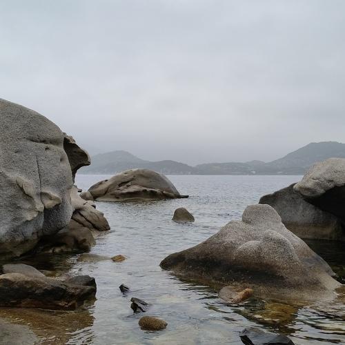Photo #3857059