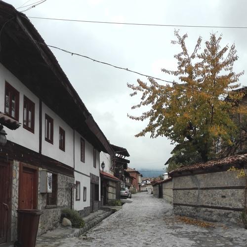 Photo #3857626