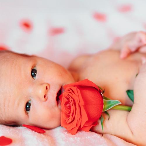 Photo #3857857