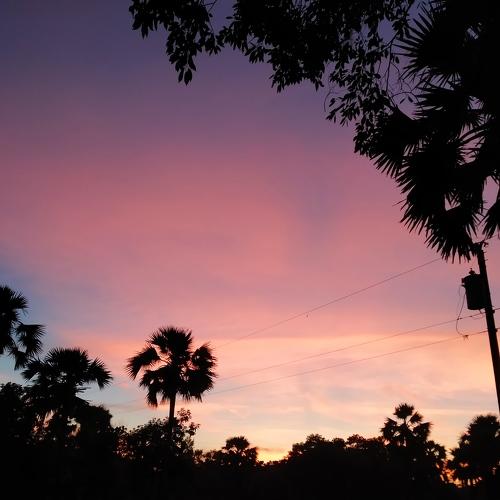 Photo #3858282