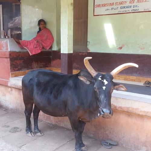 Photo #3858677