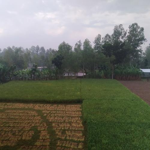 Photo #3859172