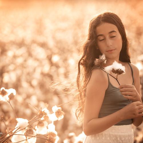 Photo #3859800