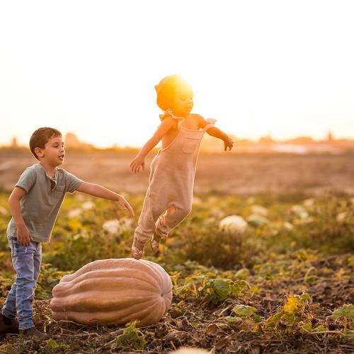 Photo #3859863