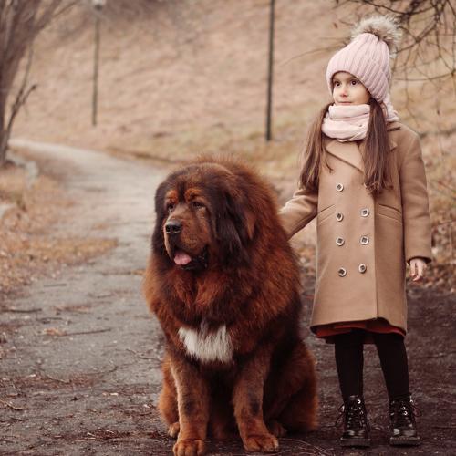 Photo #3860478