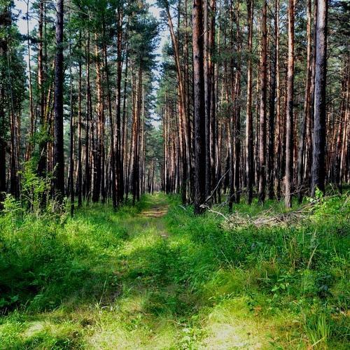 Photo #3860573