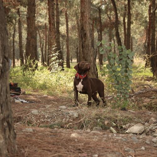 Photo #3860805