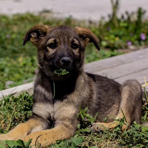 Photo #3861225