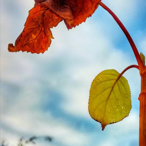 Photo #3861603