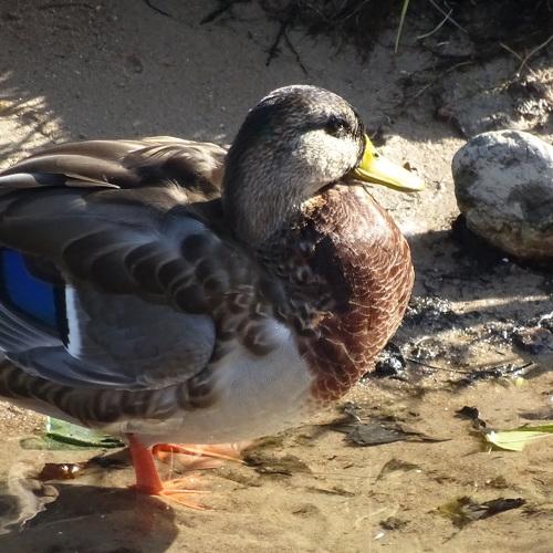 Photo #3861954