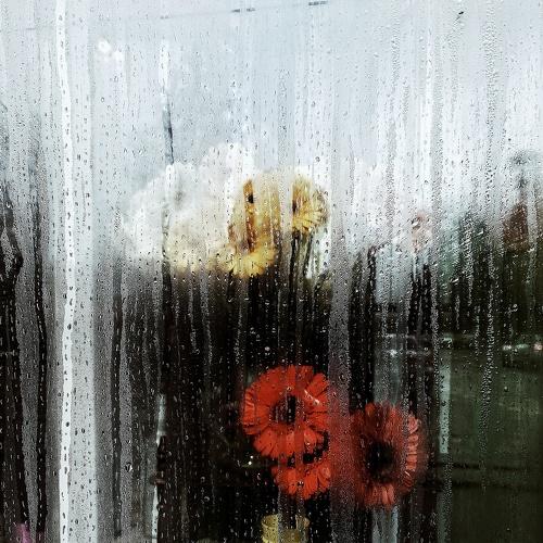 Photo #3862467
