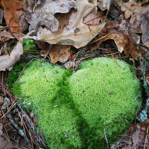 Photo #3862590