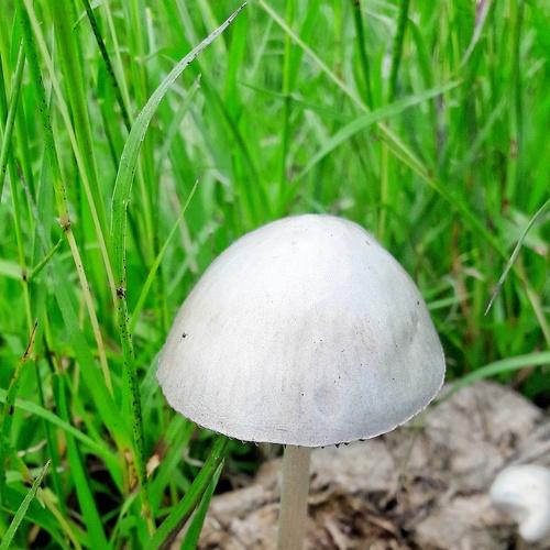 Photo #3862749