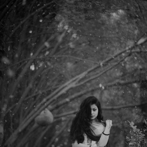 Photo #3863193