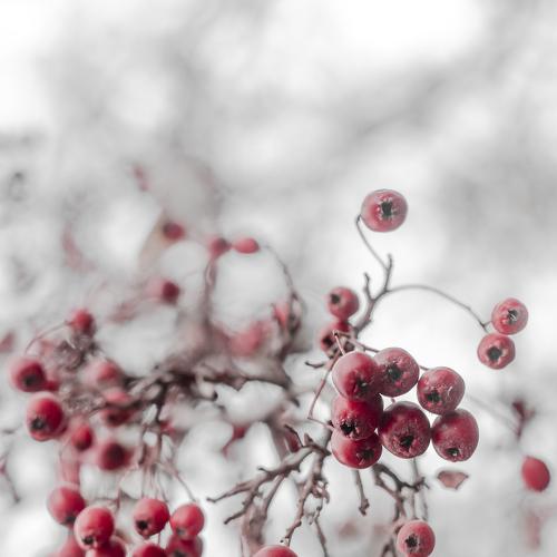Photo #3863873
