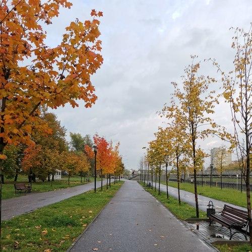 Photo #3864701