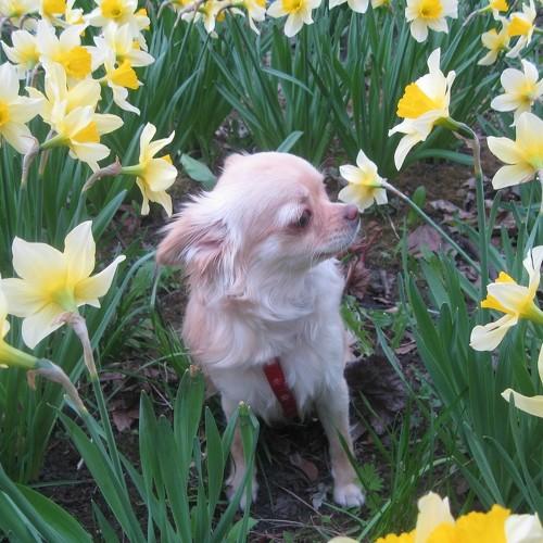 Photo #3865163