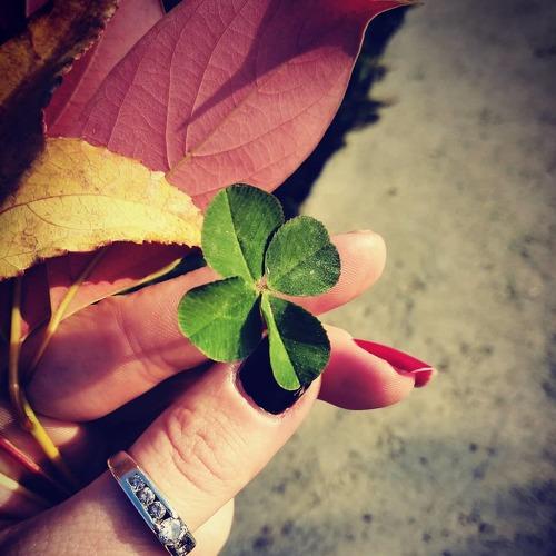 Photo #3865254