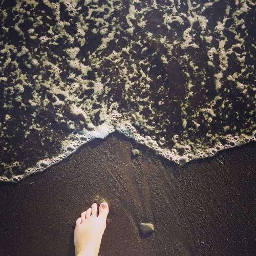 Photo #3865255
