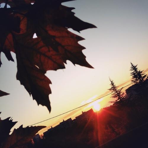 Photo #3865256