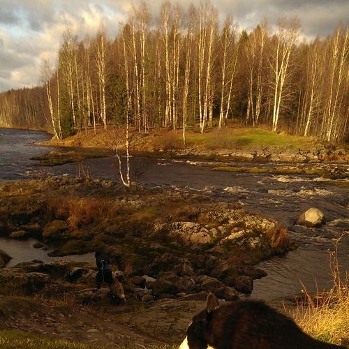 Photo #3865313