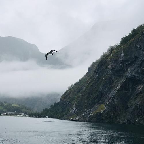 Photo #3865407