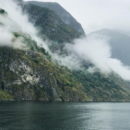 Photo #3865410