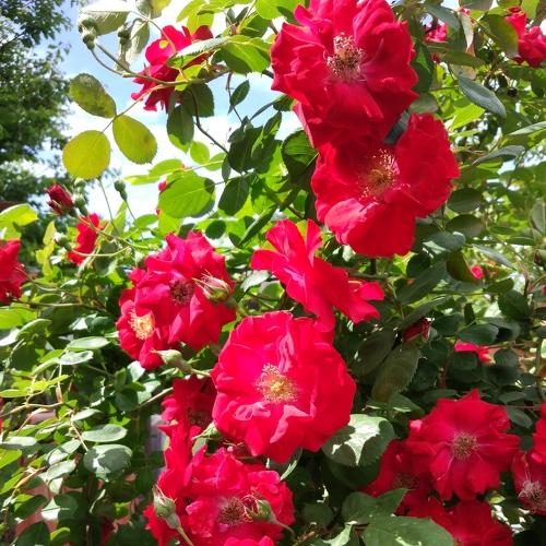 Photo #3865457