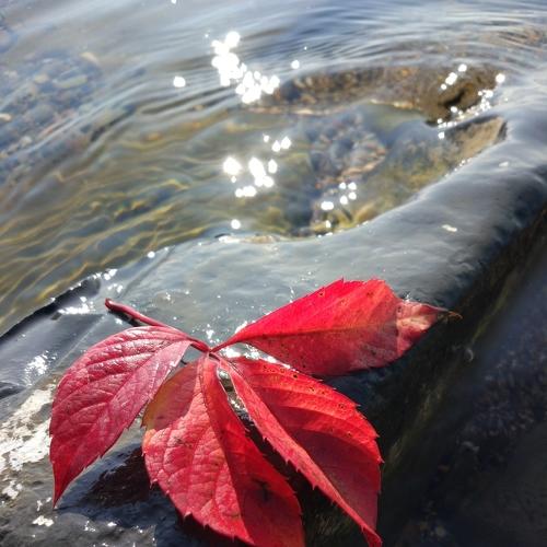 Photo #3865458