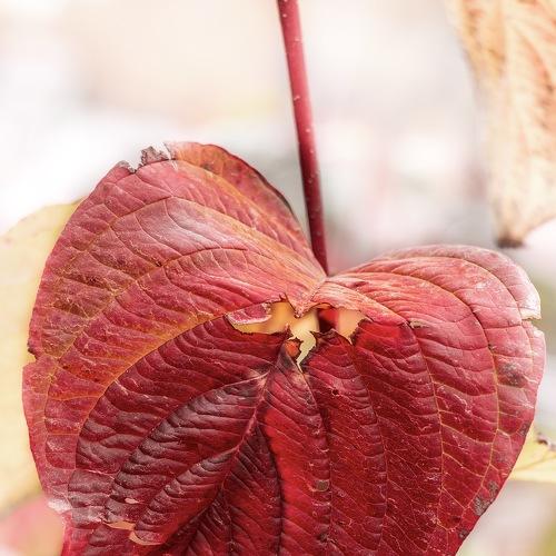 Photo #3865461