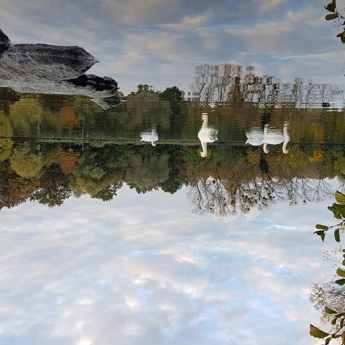 Photo #3865633