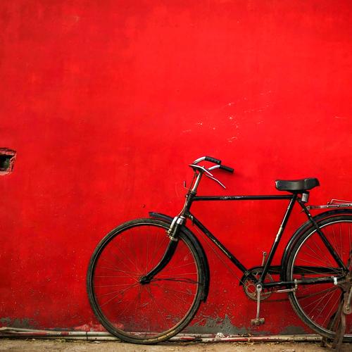 Photo #3865917