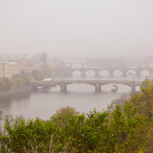 Photo #3866019
