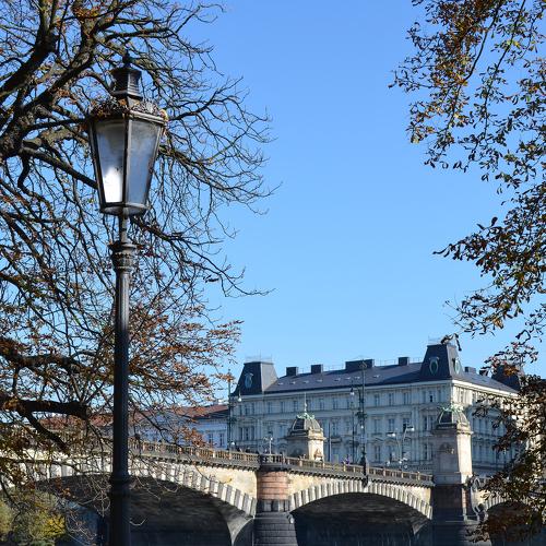Photo #3866020