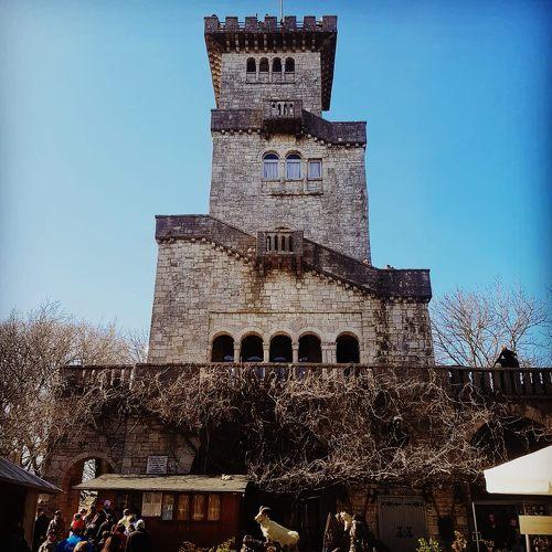 Photo #3866430