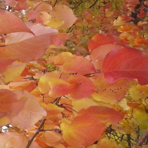 Photo #3866643