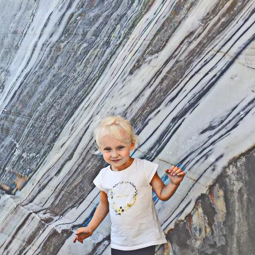 Photo #3866696