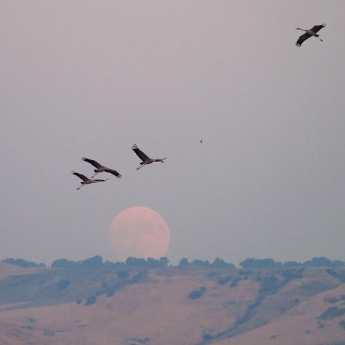 Photo #3867364