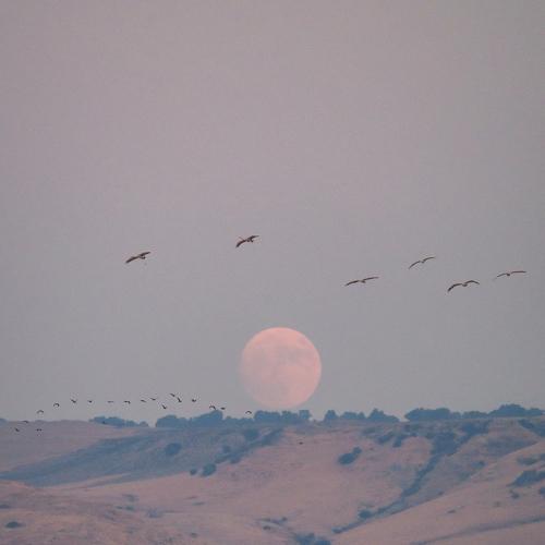 Photo #3867367