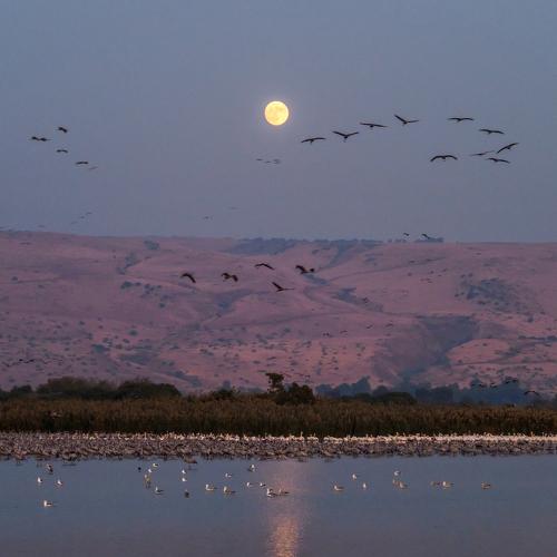 Photo #3867380