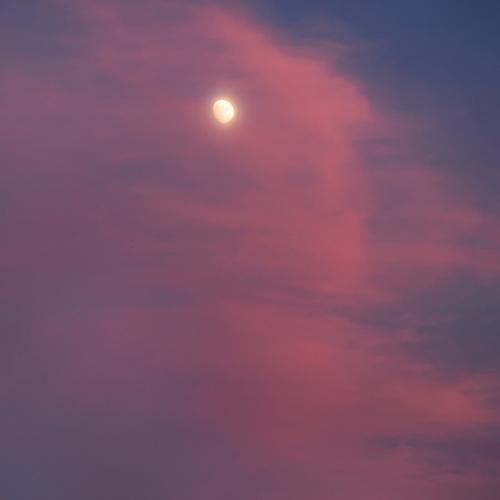 Photo #3867409